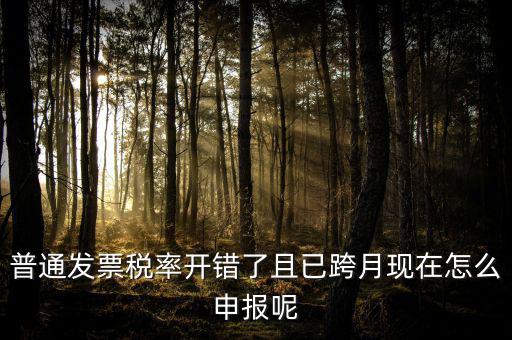 普通發(fā)票稅率開錯(cuò)了且已跨月現(xiàn)在怎么申報(bào)呢