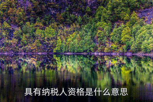 單位納稅資質(zhì)是什么，具有納稅人資格是什么意思