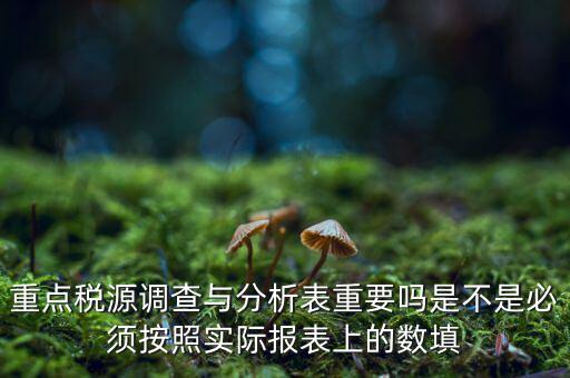 重點稅源分析分析什么，重點稅源的介紹