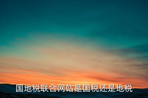 國地稅聯(lián)合辦稅是什么意思，國地稅聯(lián)合稅費申報什么意思