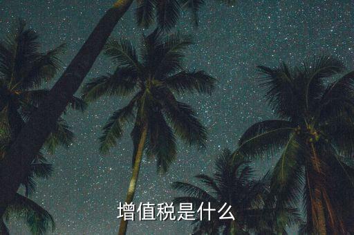 增值稅增值部分是什么，財務(wù)上增值部份是指什么如進項發(fā)票為10萬銷項發(fā)票為30萬兩項