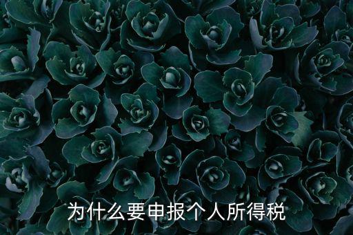 為什么要申報納稅，為什么公司老是要申報稅