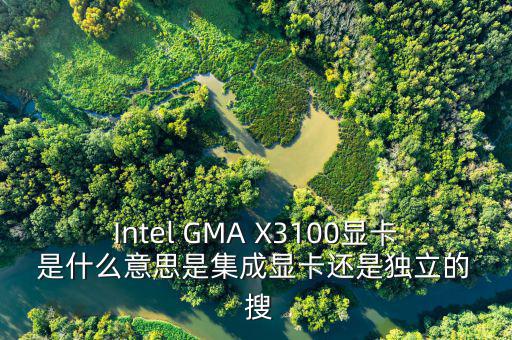 國稅集成理念是什么意思，Intel GMA X3100顯卡 是什么意思是集成顯卡還是獨立的  搜
