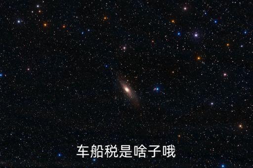 保險(xiǎn)的車船稅是什么，車船稅是啥子哦