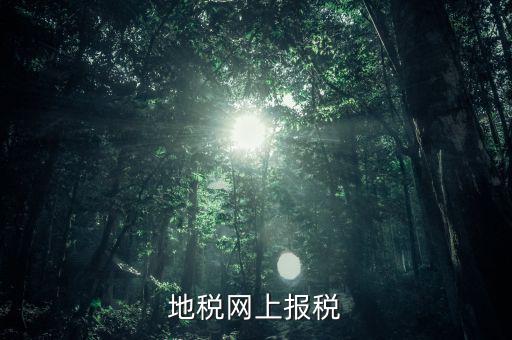 地稅網(wǎng)上需要報什么稅，網(wǎng)上報稅地稅國稅各有哪些稅種