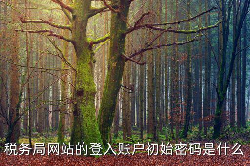 浙江國稅登入密碼是什么，稅務(wù)局網(wǎng)站的登入賬戶初始密碼是什么