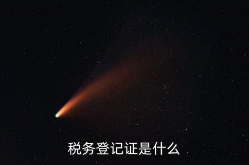 稅務登記證是什么