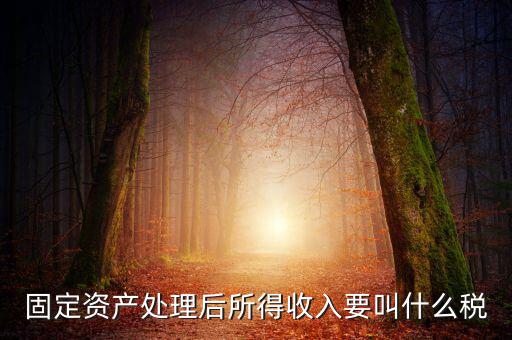 什么叫做試點(diǎn)納稅人，固定資產(chǎn)處理后所得收入要叫什么稅