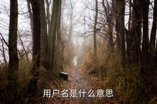 個(gè)稅用戶名是指什么意思，用戶名是什么意思