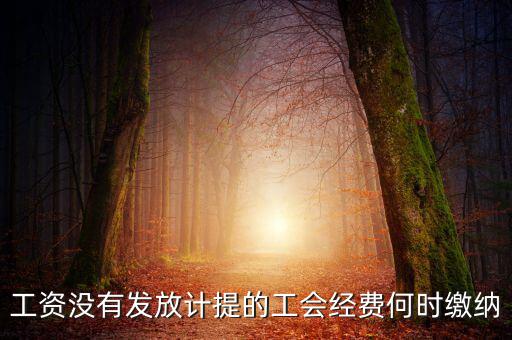 工會經(jīng)費一般什么時候交，工資沒有發(fā)放計提的工會經(jīng)費何時繳納