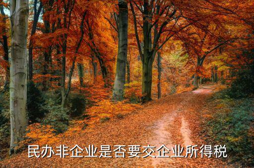非企業(yè)單位交什么稅，非居民企業(yè)的征稅范圍