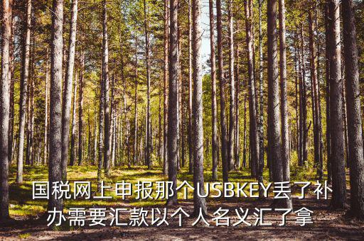 稅務(wù)ukey是什么意思，國(guó)稅網(wǎng)上申報(bào)那個(gè)USBKEY丟了補(bǔ)辦需要匯款以個(gè)人名義匯了拿