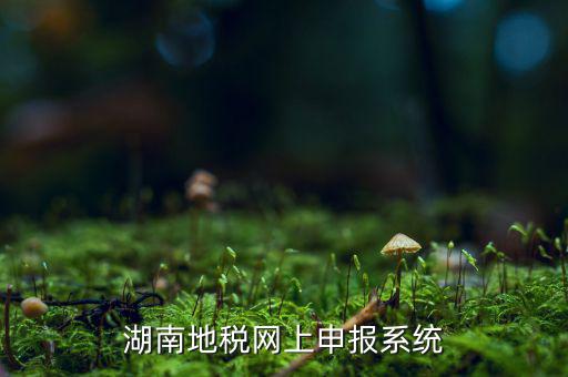 湖南省的地稅報稅軟件是什么，湖南地稅網(wǎng)上申報系統(tǒng)