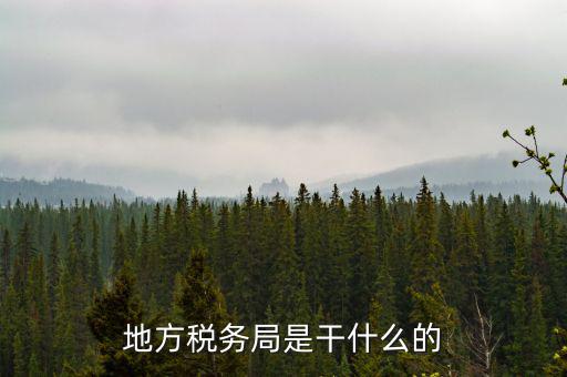 地稅局涉外稅收做什么，陜西發(fā)票涉外地稅是什么意思