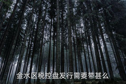 稅盤發(fā)行要帶什么資料，去國稅局辦發(fā)行需要什么資料