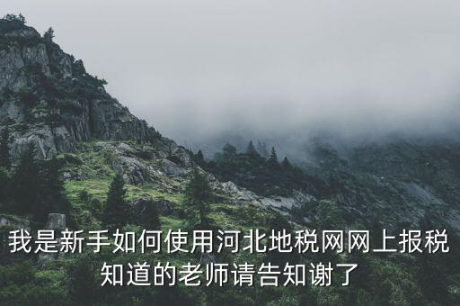 河北地稅申報(bào)用戶名是什么意思，用戶名是什么意思