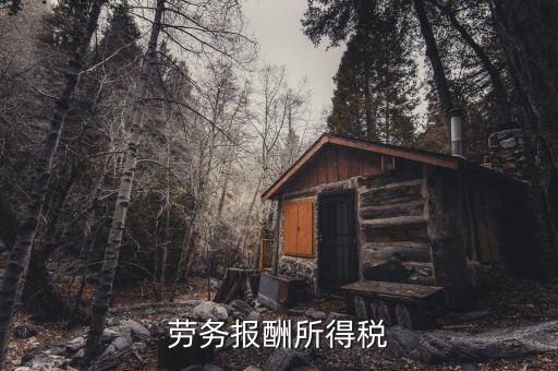 什么是勞動(dòng)報(bào)酬稅，勞務(wù)稅是什么
