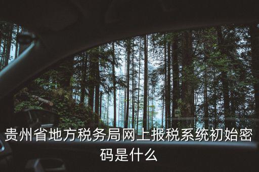黑龍江電子稅務是什么，貴州省地方稅務局網(wǎng)上報稅系統(tǒng)初始密碼是什么