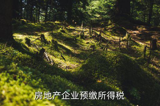 房地產(chǎn)預(yù)繳是什么意思，房?jī)r(jià)預(yù)交1萬(wàn)抵2萬(wàn)是什么意思