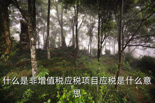 成品油應(yīng)稅和非應(yīng)稅是什么意思，什么是非增值稅應(yīng)稅項(xiàng)目應(yīng)稅是什么意思
