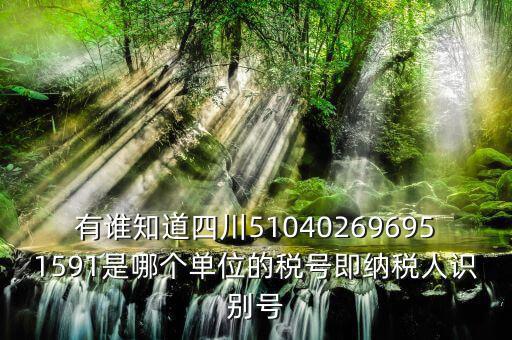 四川國稅廳帳號是什么，有誰知道四川510402696951591是哪個單位的稅號即納稅人識別號