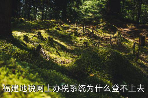 企業(yè)所得稅系統(tǒng)為什么登不上，福建地稅網(wǎng)上辦稅系統(tǒng)為什么登不上去