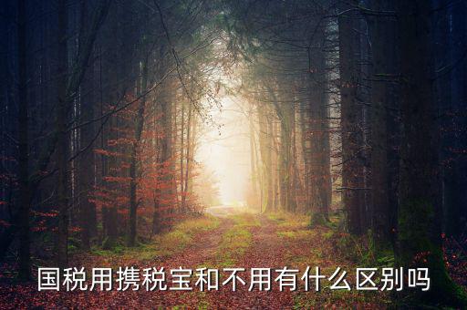 稅寶是什么，國稅用攜稅寶和不用有什么區(qū)別嗎
