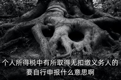 什么叫自行申報，個人所得稅中有所取得無扣繳義務(wù)人的要自行申報什么意思啊