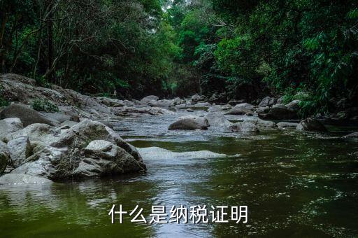納稅居民身份證明是什么，報稅時外籍人員的身份證明是什么