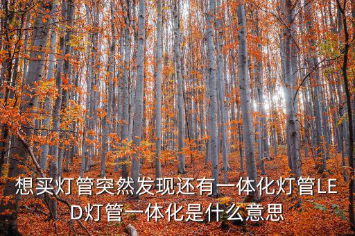 想買(mǎi)燈管突然發(fā)現(xiàn)還有一體化燈管LED燈管一體化是什么意思