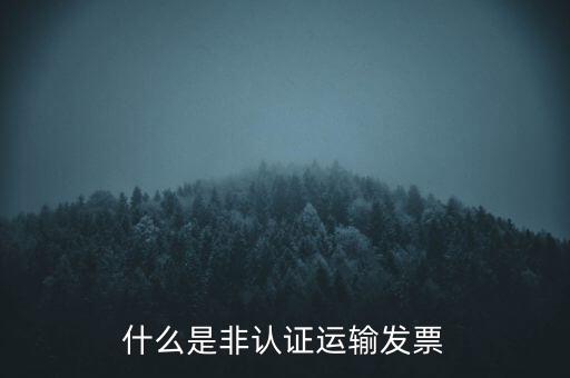 運(yùn)輸票是什么，運(yùn)輸發(fā)票是普通發(fā)票嗎