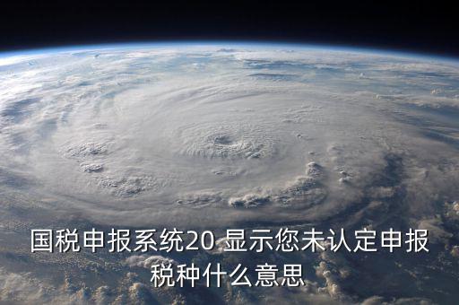 國稅申報(bào)系統(tǒng)20 顯示您未認(rèn)定申報(bào)稅種什么意思