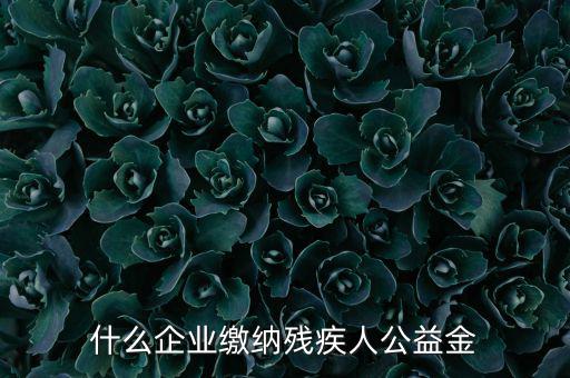 什么企業(yè)需申報(bào)殘疾人保障金，哪些單位應(yīng)該繳納殘疾人保障基金