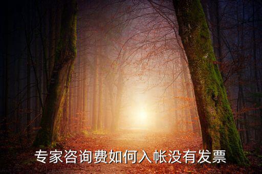 專(zhuān)家咨詢費(fèi)如何入帳沒(méi)有發(fā)票