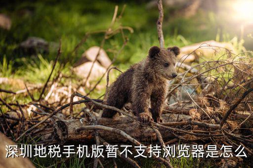 深圳國(guó)稅網(wǎng)站用什么瀏覽器打開，國(guó)稅網(wǎng)為什么看不到增值稅申報(bào)表平時(shí)一打開這個(gè)頁(yè)面就可以點(diǎn)擊看