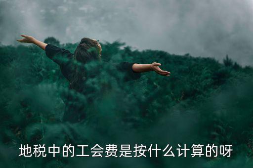 地稅代征的工會(huì)經(jīng)費(fèi)按什么計(jì)算，地稅中的工會(huì)費(fèi)是按什么計(jì)算的呀