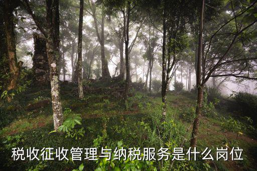 稅控服務(wù)單位是什么，開發(fā)票提示金稅設(shè)備檢測(cè)異常請(qǐng)聯(lián)系當(dāng)?shù)胤?wù)單位 是什么意思