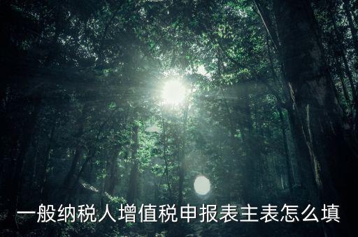 一般納稅人主表是什么，一般納稅人增值稅申報(bào)表主表怎么填