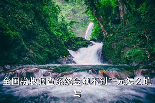 為什么全國稅收調(diào)查千元，全國稅收調(diào)查及重點稅源
