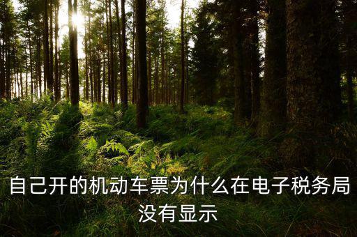 為什么登錄電子稅務(wù)局沒(méi)有反映，自己開(kāi)的機(jī)動(dòng)車(chē)票為什么在電子稅務(wù)局沒(méi)有顯示
