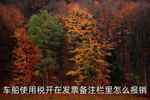 車(chē)船使用稅為什么在發(fā)票備注欄，保險(xiǎn)公司代收的車(chē)船稅稅款是填在備注欄里的么