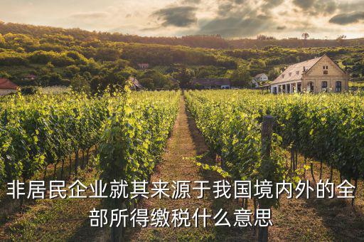 非居民企業(yè)就其來源于我國(guó)境內(nèi)外的全部所得繳稅什么意思