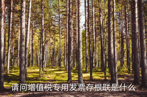 發(fā)票存根聯(lián)是什么，發(fā)票存根聯(lián)是按發(fā)票購領(lǐng)本上領(lǐng)購的本數(shù)裝訂還是25張裝訂一冊