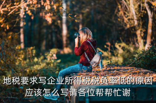 地稅的風(fēng)險(xiǎn)評(píng)定低是什么意思，地稅要求寫企業(yè)所得稅稅負(fù)率低的原因應(yīng)該怎么寫請(qǐng)各位幫幫忙謝