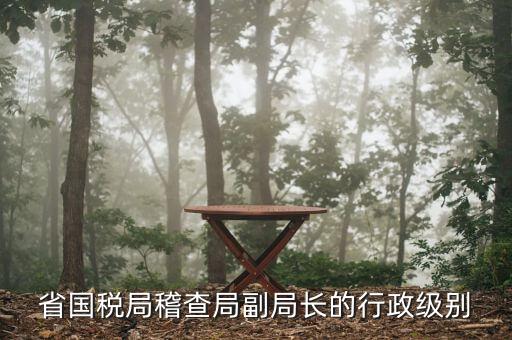湖南稽查局長什么級(jí)別，湖南廣電局紀(jì)檢組長是什么級(jí)別