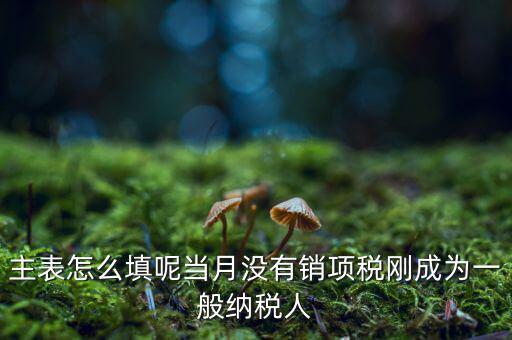 一般納稅人主表是什么意思，一般納稅人申報(bào)表主表的申明人必須輸入是什么意思