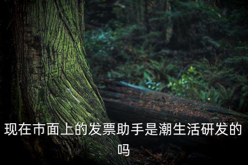 國稅發(fā)票助手是干什么的，現(xiàn)在市面上的發(fā)票助手是潮生活研發(fā)的嗎