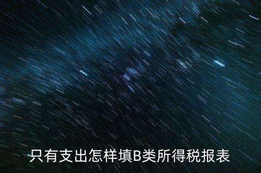 個人生產(chǎn)經(jīng)營所得B表稅金填什么，只有支出怎樣填B類所得稅報表