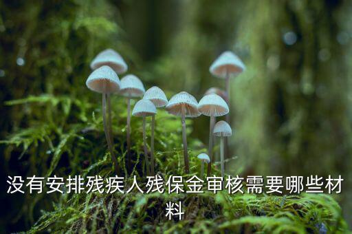 福建殘保金備案需要什么資料，求助2012年殘保金申請流程