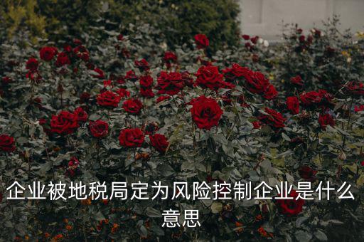 稅收風(fēng)險控制是什么，稅務(wù)風(fēng)險管理的稅務(wù)風(fēng)險管理制度